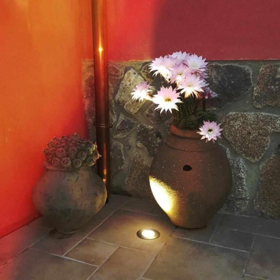 Casa Rural Rojo Del Tietar 拉伊格莱苏埃拉 外观 照片