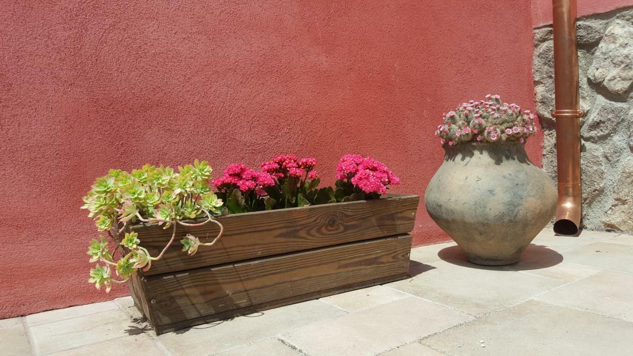 Casa Rural Rojo Del Tietar 拉伊格莱苏埃拉 外观 照片